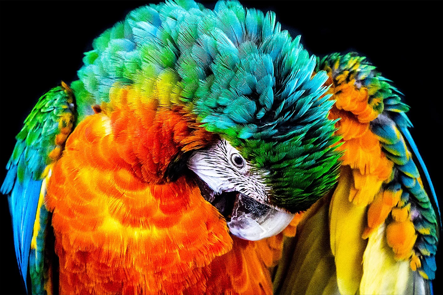 Vì sao công nghệ xử lý hình ảnh của tivi Sony vẫn được đánh giá cao?