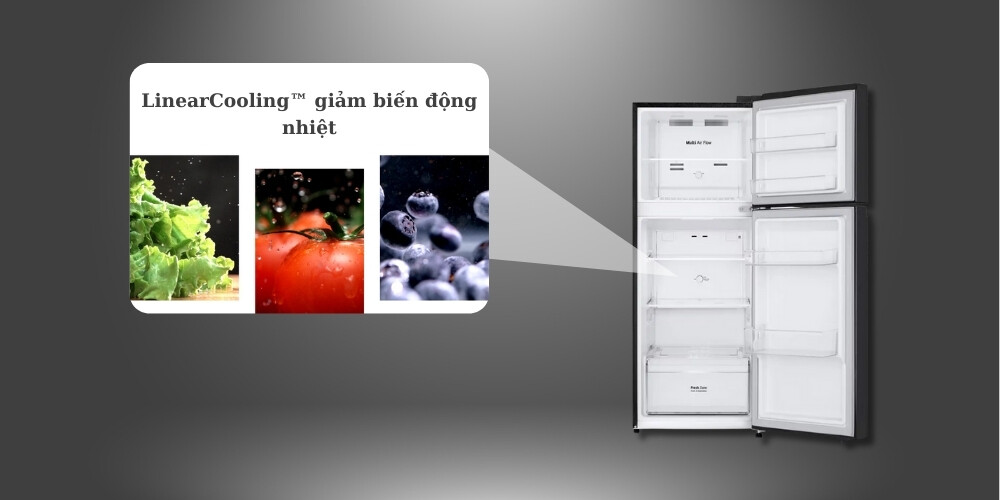 Tại sao tủ lạnh LG 2 cánh LTB21SVMD được chọn nhiều cho phòng bếp?