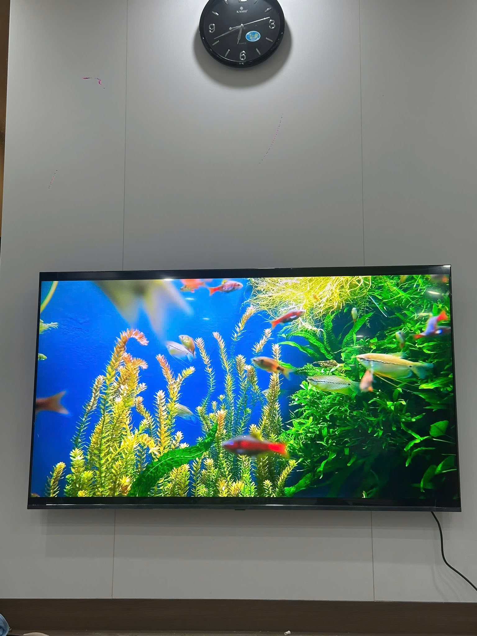 5 lý do nên chọn mua tivi Samsung QLED 55 inch 4K QA55Q7FAAKXXV