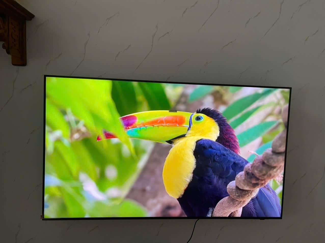 Có nên mua tivi Samsung 65 inch QLED QA65Q7F5AKXXV? Phân tích ưu nhược điểm
