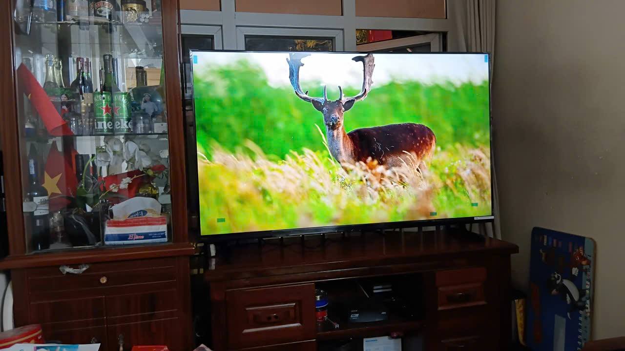Tìm hiểu về tấm nền IPS trang bị trên tivi Sony 55 inch 4K K-55S25VM2 có tác dụng gì?