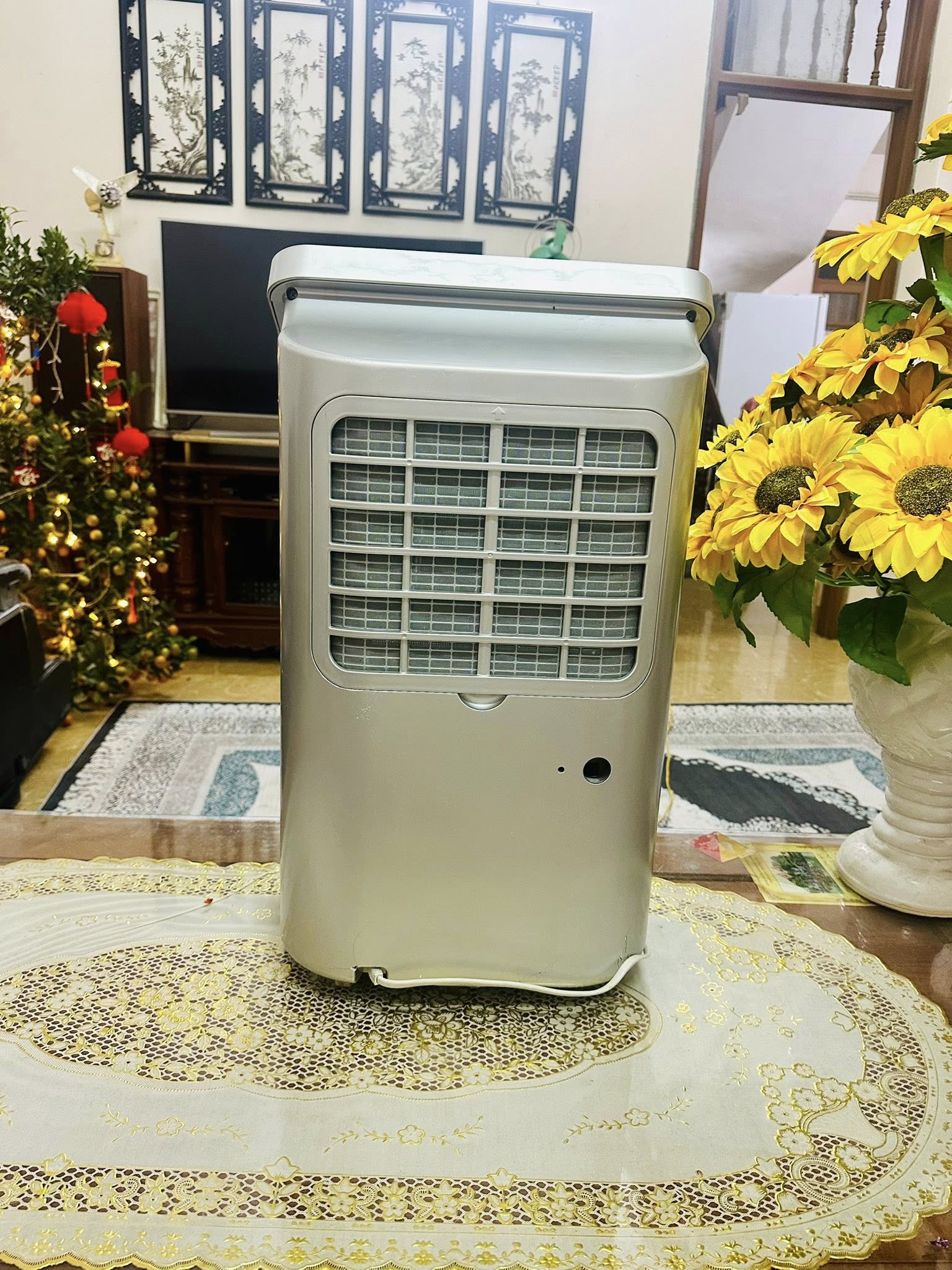 5 lý do bạn nên sắm ngay máy hút ẩm Sharp DW-D20A-W trong mùa mưa này