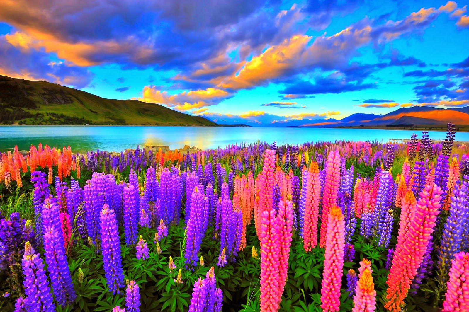 Tấm nền của tivi Sony K-55S20M2 là gì? Độ bền và khả năng hiển thị màu sắc thực tế ra sao?