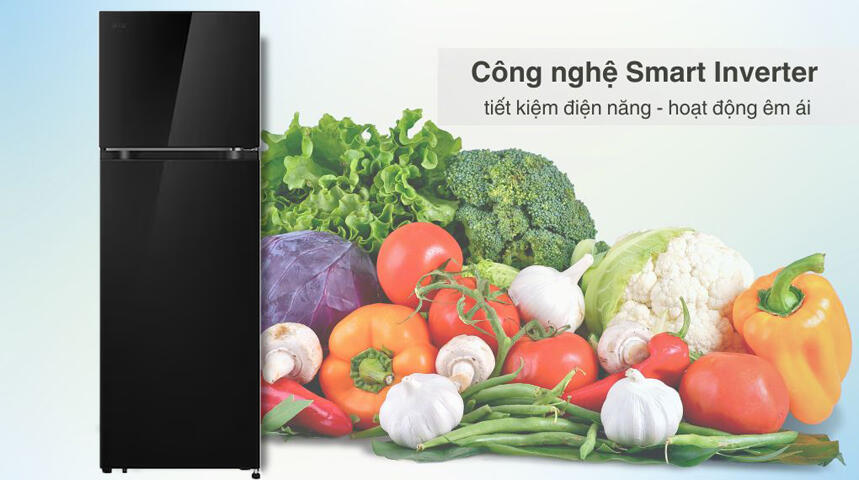 Vì sao tủ lạnh LG T26BG được nhiều người lựa chọn?