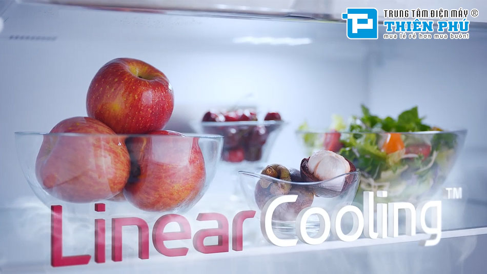 Tủ Lạnh LG Inverter 2 Cánh 266 Lít T26BG