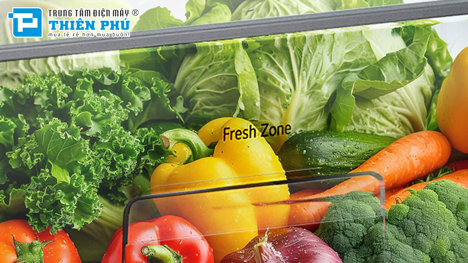 Tủ Lạnh LG Inverter 2 Cánh 292 Lít T30SV