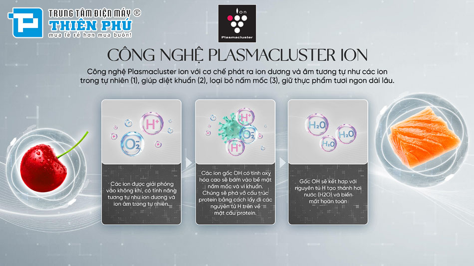 Tủ Lạnh Sharp Multi Door Sharp Inverter 466 Lít SJ-FXP560VG-BK