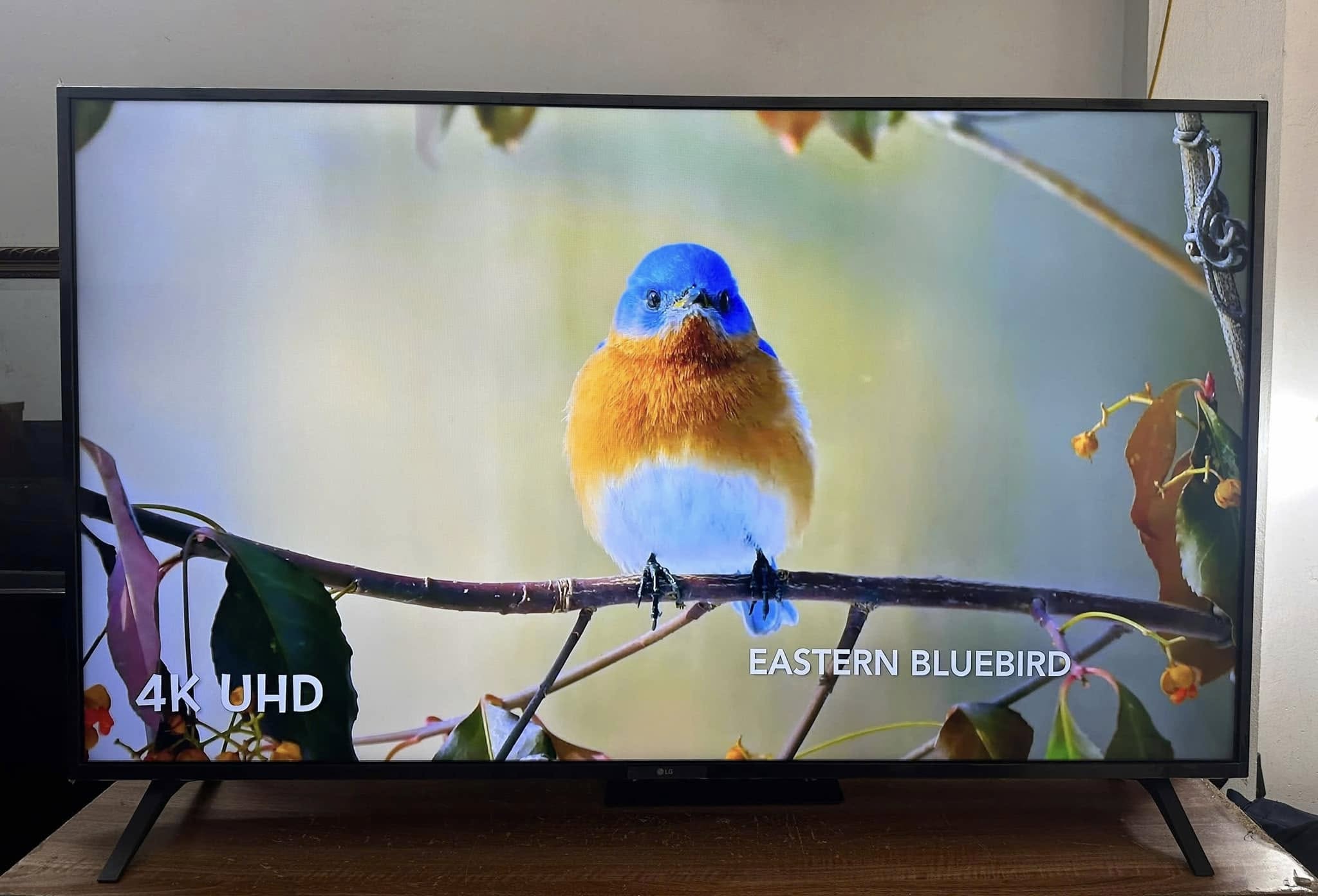 So sánh tivi Sony và tivi Samsung năm 2026, hãng nào có hình ảnh đẹp hơn?