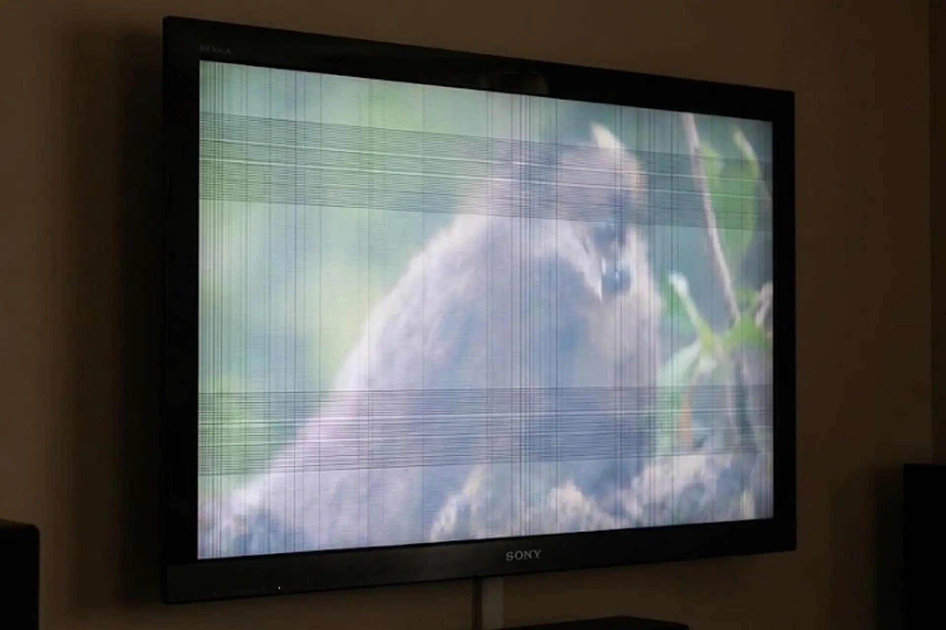 Tivi Sony bị mờ, nhòe hình? Thử ngay những mẹo cân chỉnh này để khắc phục