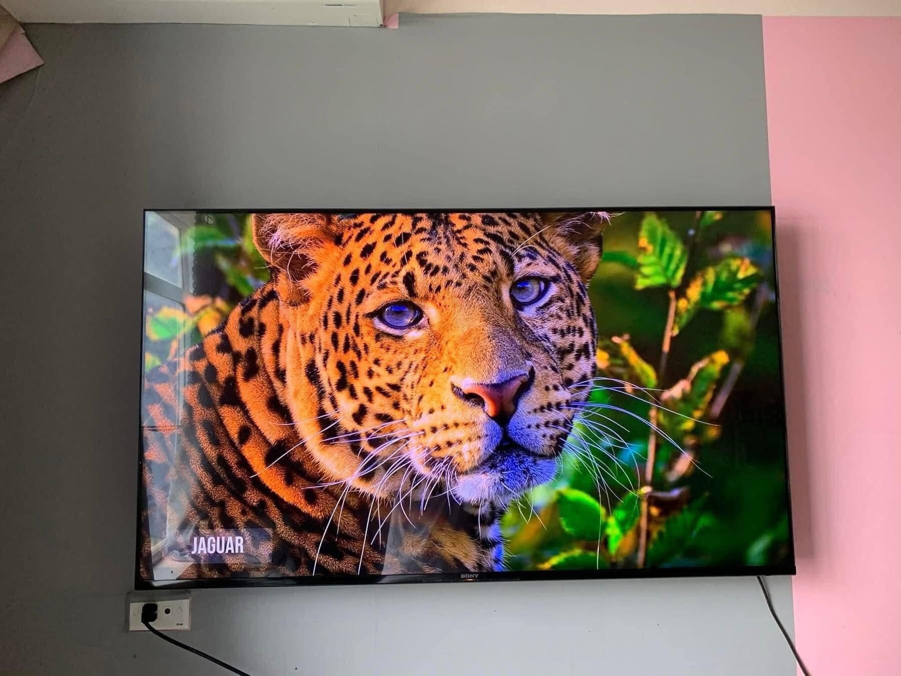 So sánh tivi Sony và tivi Samsung năm 2026, hãng nào có hình ảnh đẹp hơn?