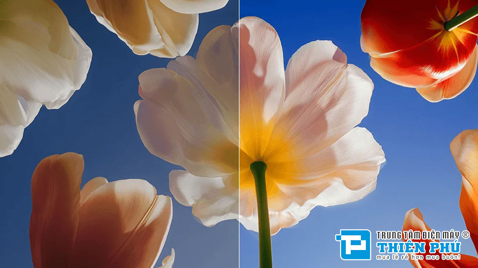 Google Tivi Xiaomi S Mini LED 4K 65 inch L65MC-SSEA