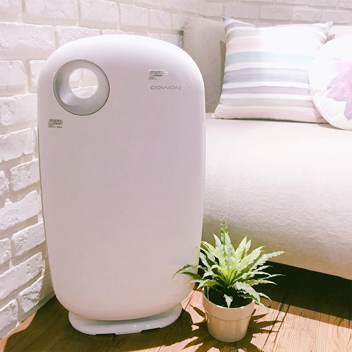 Review chi tiết máy lọc không khí Coway AP-1009CH có tốt không, có nên mua?