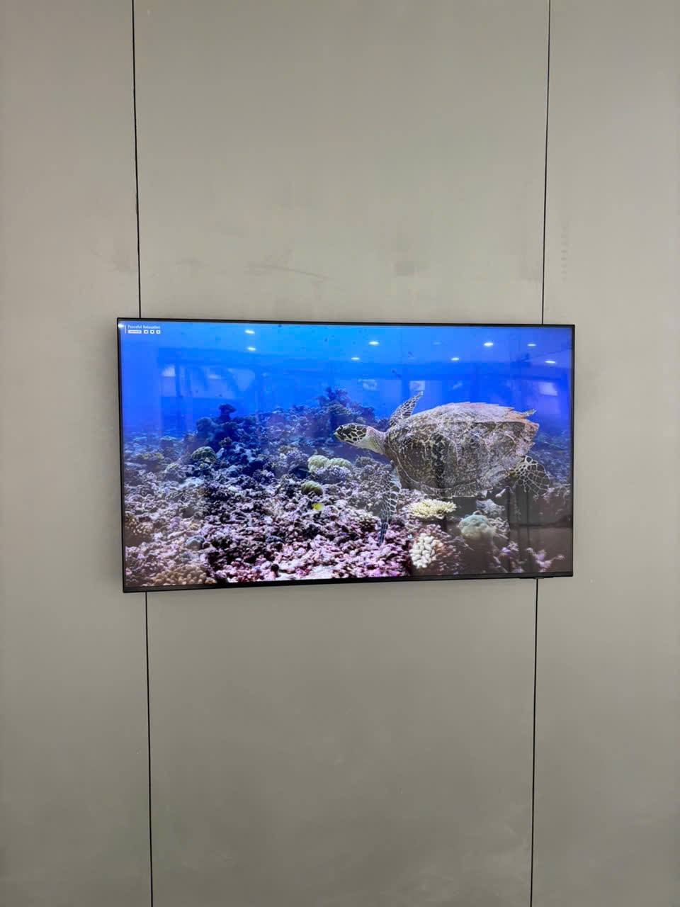 Khám phá 5 tính năng và công nghệ nổi bật trên tivi Samsung 55 inch UA55U8500FKXXV