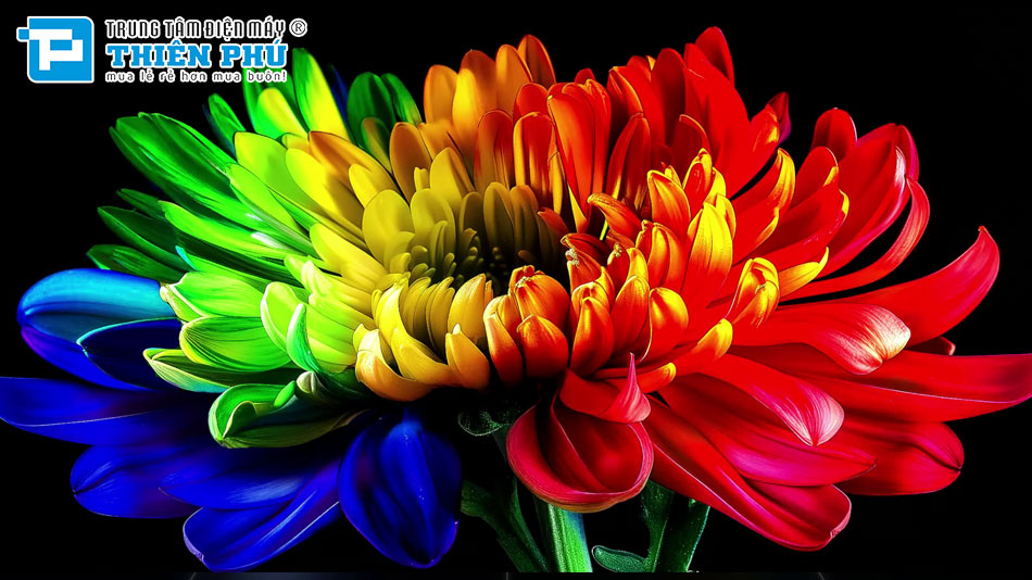 Smart Tivi LG Micro RGB Evo AI 100 Inch 4K 100MRGB96BS