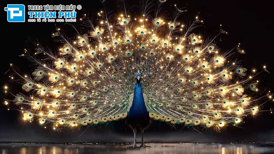 Smart Tivi LG OLED EVO AI 4K OLED C6PSA
