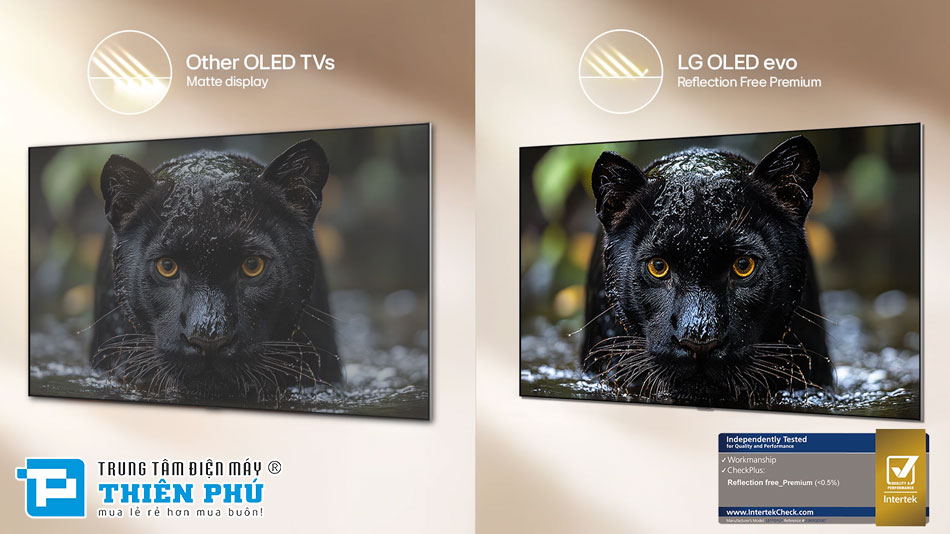 Tivi LG OLED EVO AI 65 Inch 4K OLED65G6PSA dòng G6 có gì đặc biệt?