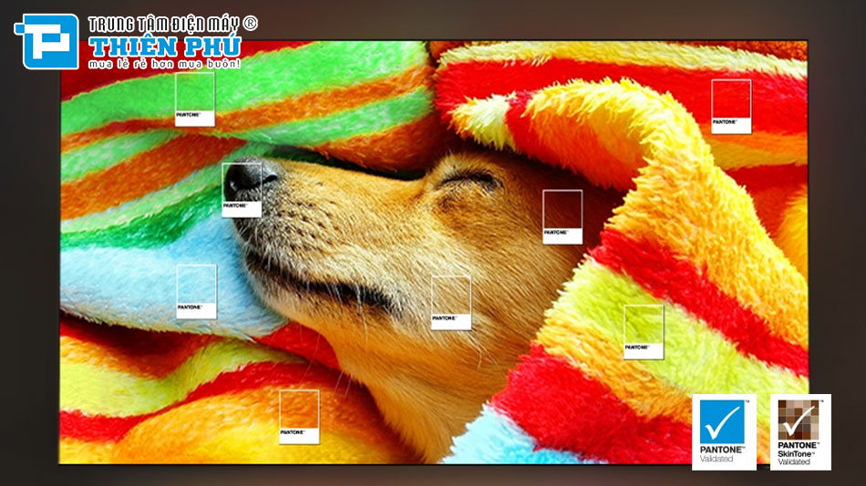 Smart Tivi Samsung Micro RGB Vision AI 4K MRA-R95HXKXXV