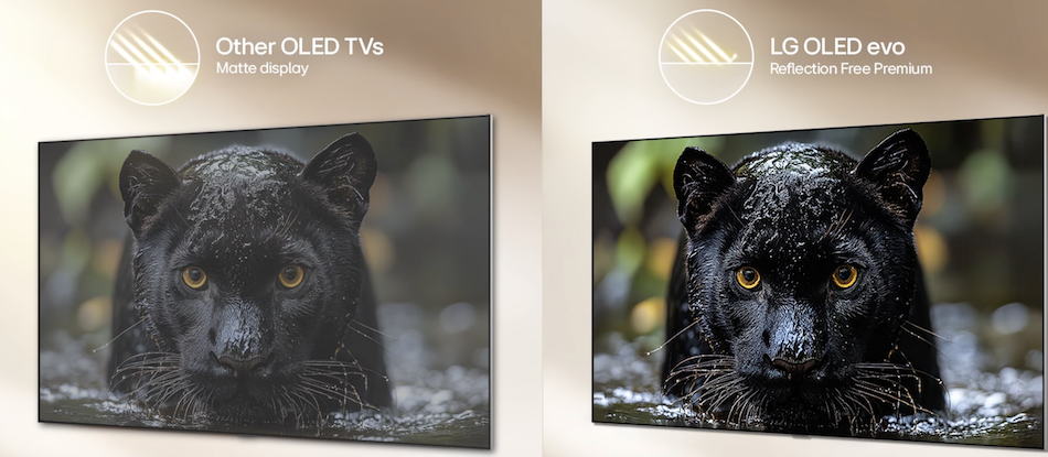 Tại sao nên chọn tivi LG OLED EVO AI 65 Inch 4K OLED65G6PSA dòng G6?