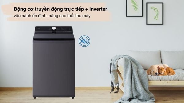 Bật mí lý do nên sử dụng máy giặt LG cửa trên T2725SX5G cho gia đình đồng người