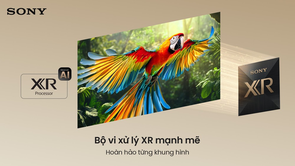 Review chi tiết tivi Sony Bravia 7 II 55 inch K-55XR70M2 ra mắt 2026 có đáng tiền?