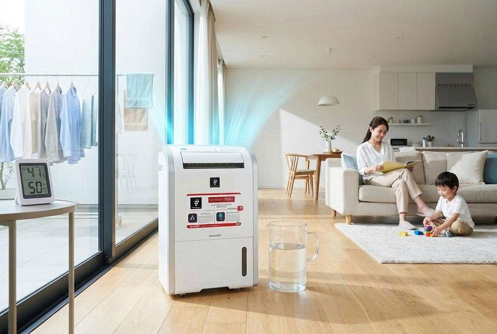 Phân khúc máy hút ẩm 20 lít: Vì sao máy hút ẩm Sharp DW-D20A-W luôn là lựa chọn hàng đầu?