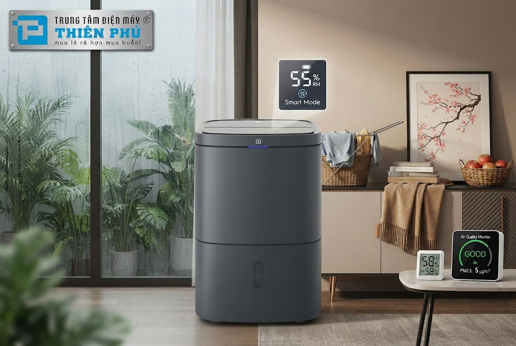 Sai lầm tai hại khi nghĩ máy hút ẩm Electrolux EDH12TRBD2 chỉ dùng vào mùa nồm