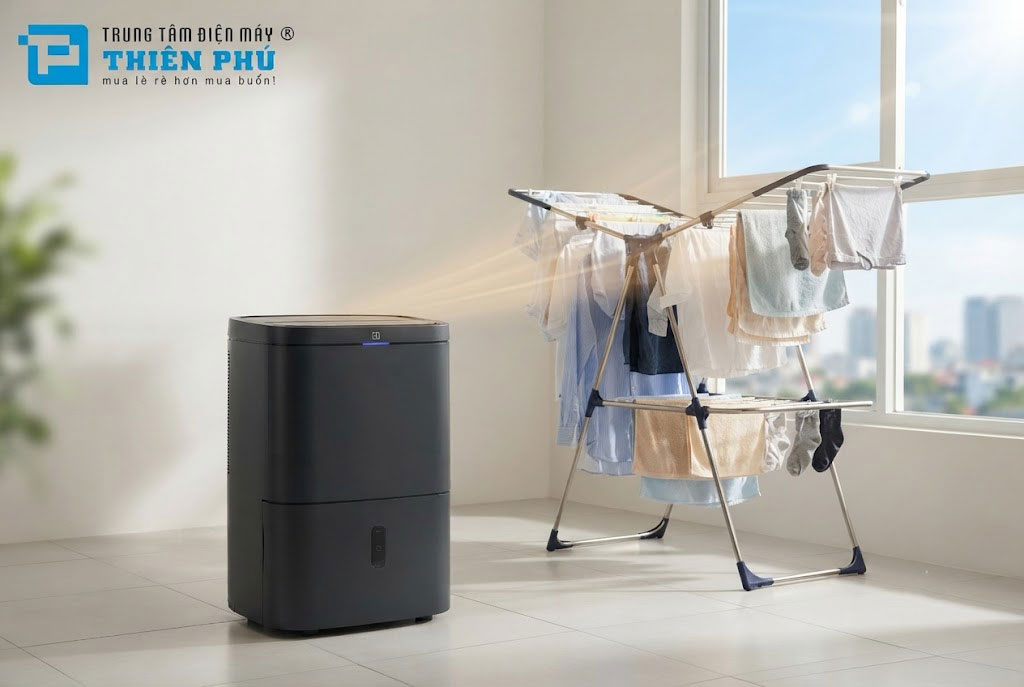 Sai lầm tai hại khi nghĩ máy hút ẩm Electrolux EDH12TRBD2 chỉ dùng vào mùa nồm